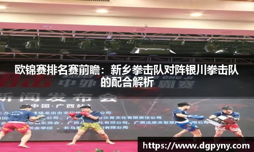 欧锦赛排名赛前瞻：新乡拳击队对阵银川拳击队的配合解析